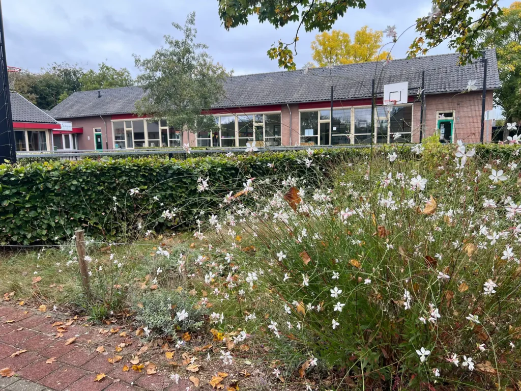 De Bolster - Sambeek